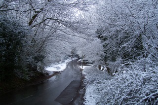 New Forest April snow 2008