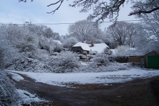 New Forest Farmhouse April 2008