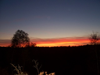 New Forest sunset near Sandy Balls