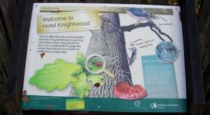 New Forest Knightwood Oak  info board