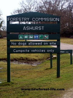 New Forest Ashurst Campsite Entrance Board