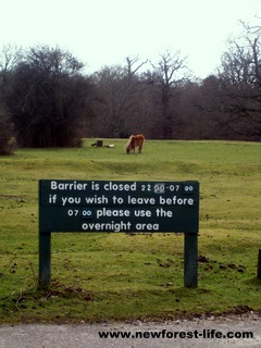 New Forest Ashurst notice board