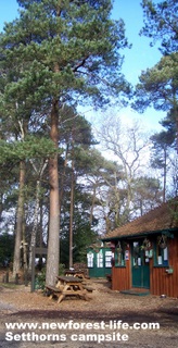 New Forest Setthorns Main Entrance