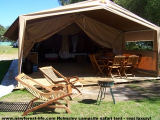 New Forest Holmsley Safari Tent