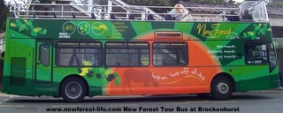 New Forest Tour Bus