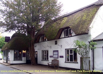 New Forest Tea Room Burley