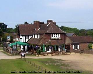 New Forest Fighting Cocks Pub at Godshill from tour bus