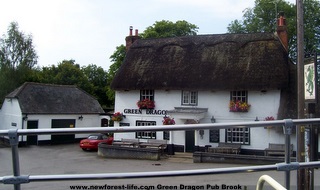 New Forest Green Dragon Pub at Brooke