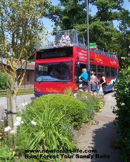 New Forest Tour bus at Sandy Balls