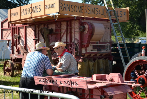 New Forest Show 2012