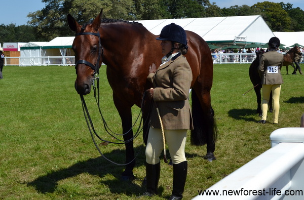 New Forest Show 201