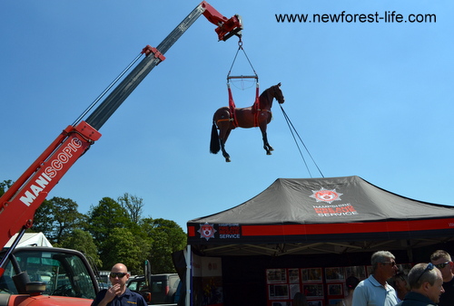 New Forest Show 201