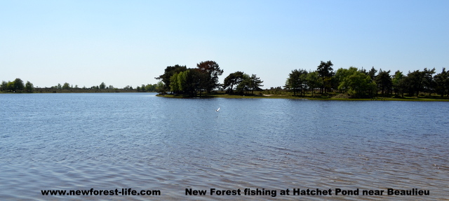 Fishing HP