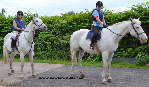 New forest sales horse riding