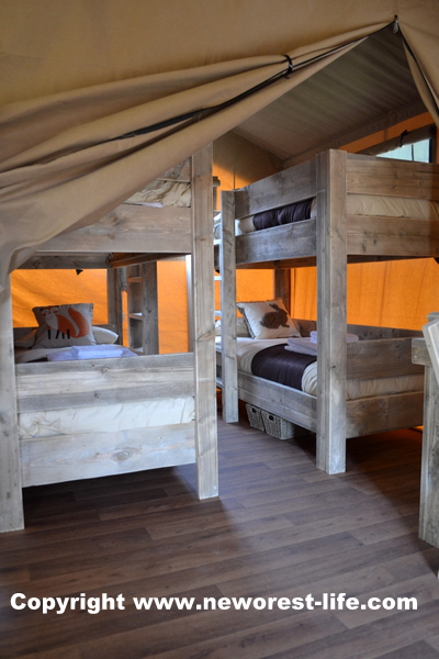 New Forest safari tent bunk beds at Sandy Balls