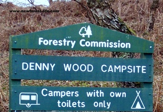 New Forest Denny Wood Entrance Board