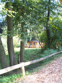 New Forest lodge at Sandy Balls Holiday Centr