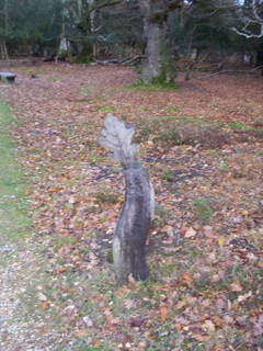 New Forest Knightwood Oak Path