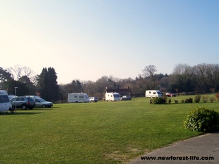 New Forest Gorse Farm Caravan Park