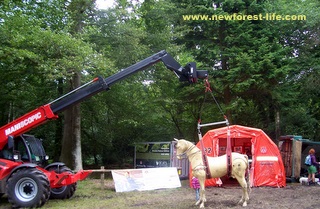 New Forest Show Hants Fire & Rescue equipment on display 