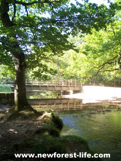 New Forest Oberwater stream