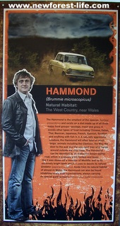 New Forest Beaulieu Top Gears Richard Hammond