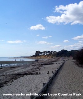 New Forest Lepe Beach-long view
