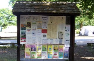 New Forest Hollands Wood Notice Board