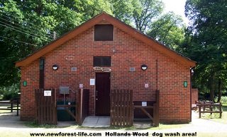 New Forest Hollands Wood dog wash area