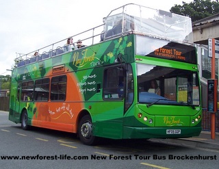 New Forest Tour Bus