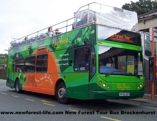 New Forest Siteseeing Tour Bus