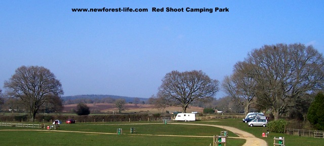 New Forest Red Shoot Camping Site