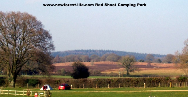 New Forest Red Shoot Site with Stunning views