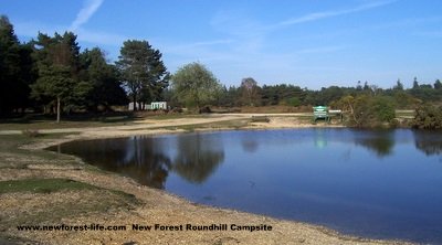 New Forest Roundhills Campsite Pond