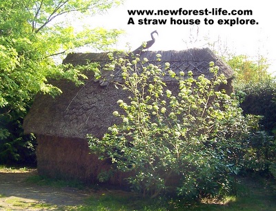 New Forest Furzey Gardens Childrens Straw House