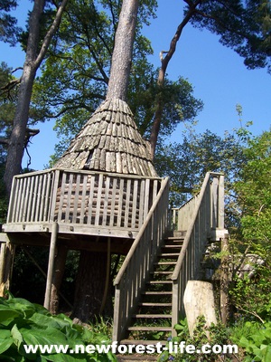 New Forest Furzey Gardens play area