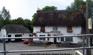 New Forest Green Dragon Pub at Brooke