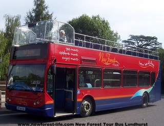 New Forest Tour Bus leaving Lyndhurst