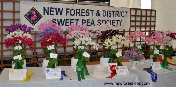 New Forest Show 2012