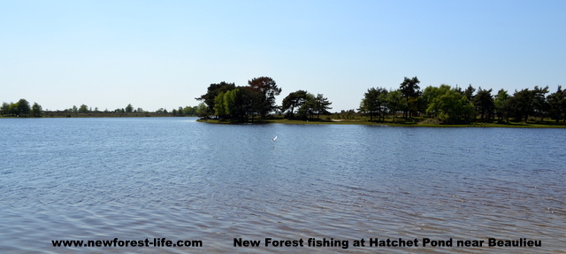 New Forest Hatchett Pond Beaulieu