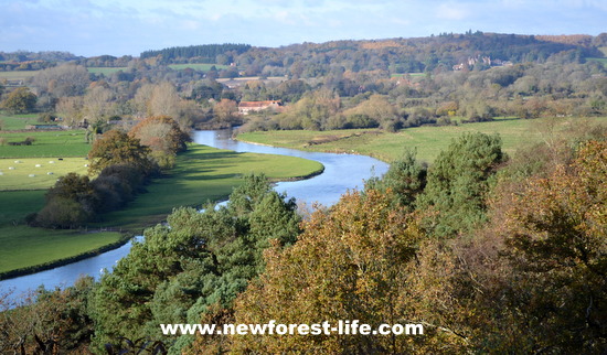 New Forest view from Castle Hill area