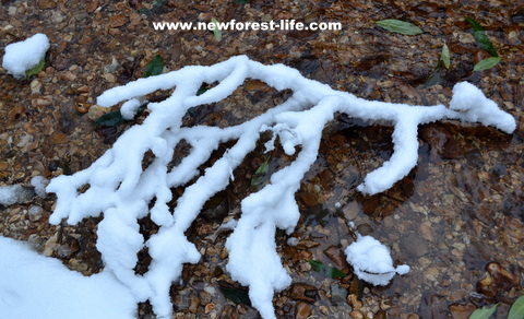 New Forest National Park snow