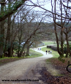 New Forest Denny Wood Campsite-cycling out of camp