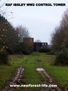 New Forest Ibsley Tower