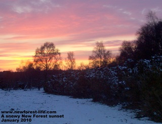 New Forest sunset in the snow