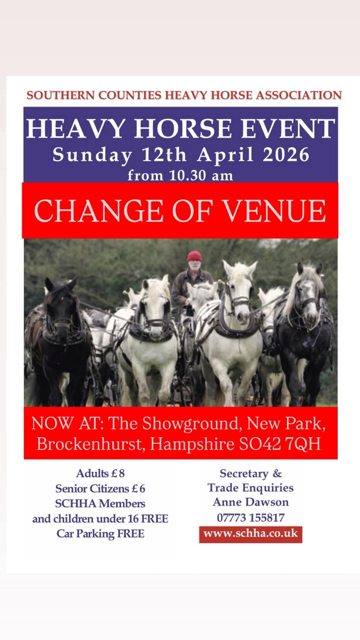 Accident card New Forest